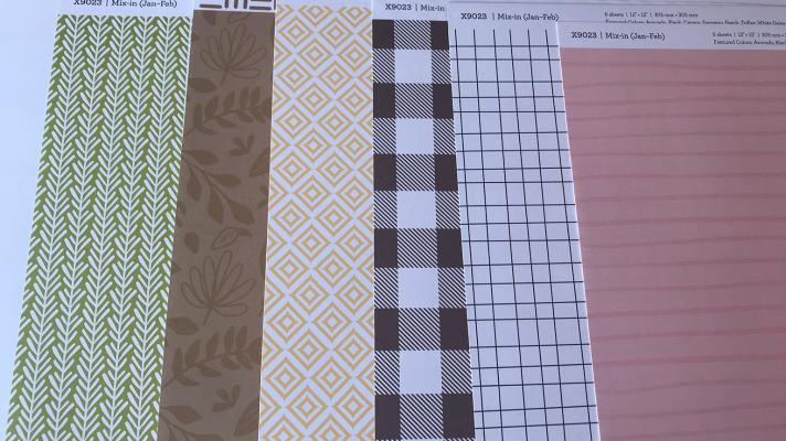 Double sided scrapbook paper with matching card stock to use for scrapbook layouts 